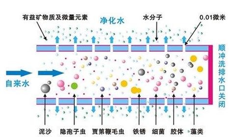 20150725112962526252[1]